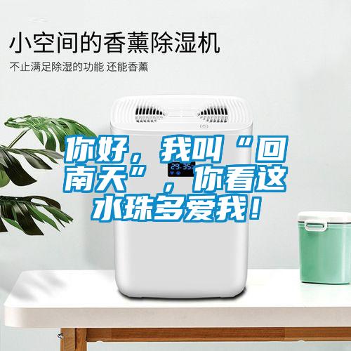 你好，我叫“回南天”，你看這水珠多愛(ài)我！