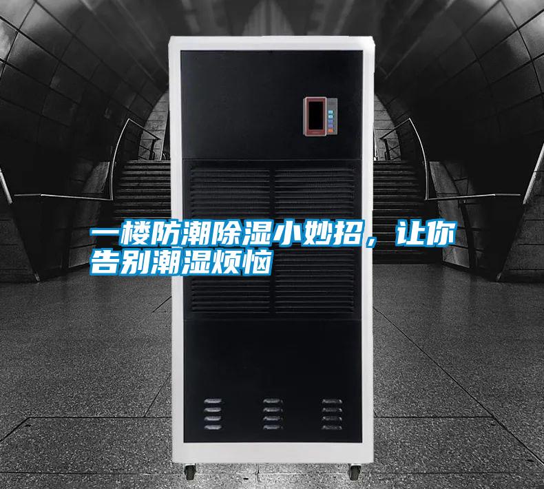 一樓防潮除濕小妙招，讓你告別潮濕煩惱