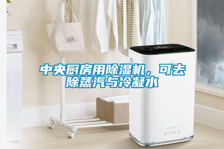 中央廚房用除濕機(jī)，可去除蒸汽與冷凝水