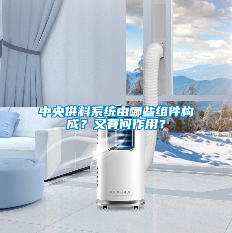 中央供料系統由哪些組件構成？又有何作用？