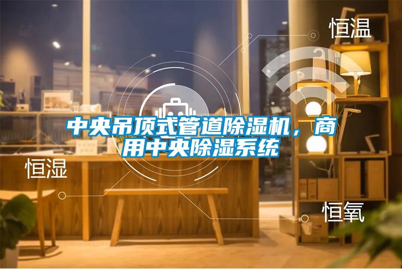 中央吊頂式管道除濕機，商用中央除濕系統