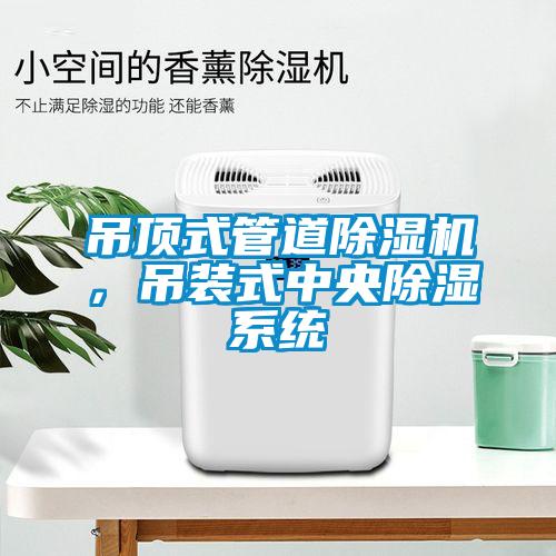 吊頂式管道除濕機，吊裝式中央除濕系統