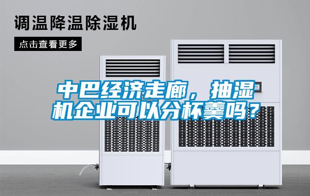 中巴經(jīng)濟走廊，抽濕機企業(yè)可以分杯羹嗎？