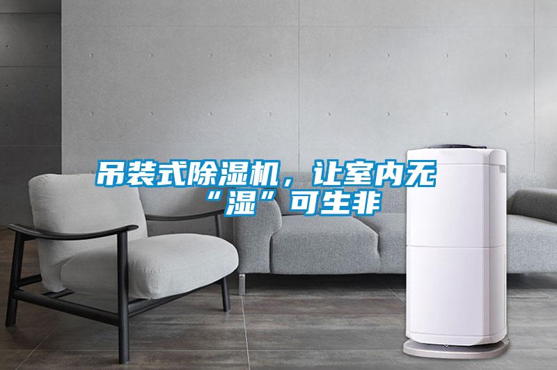吊裝式除濕機，讓室內無“濕”可生非