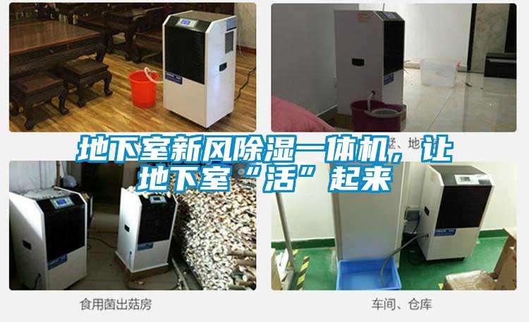 地下室新風除濕一體機，讓地下室“活”起來