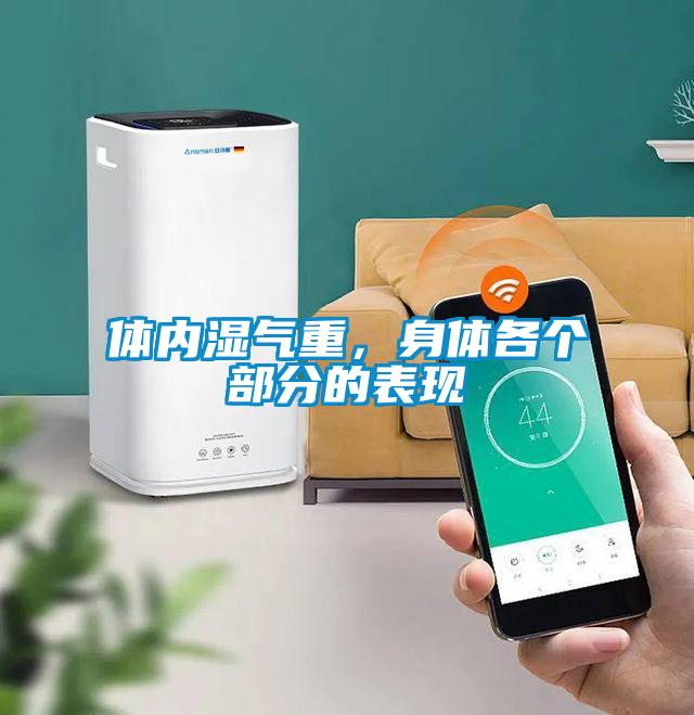 體內(nèi)濕氣重，身體各個部分的表現(xiàn)