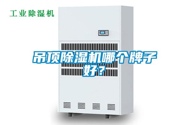 吊頂除濕機哪個牌子好？