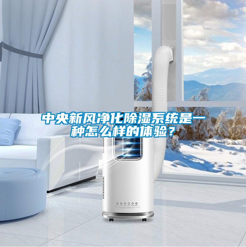 中央新風(fēng)凈化除濕系統(tǒng)是一種怎么樣的體驗？