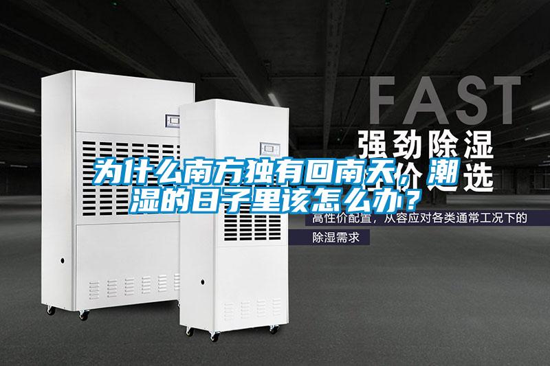 為什么南方獨有回南天，潮濕的日子里該怎么辦？
