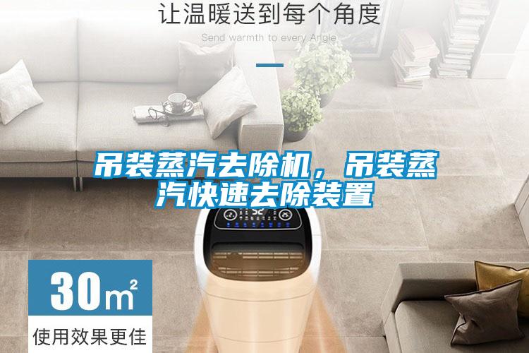 吊裝蒸汽去除機，吊裝蒸汽快速去除裝置