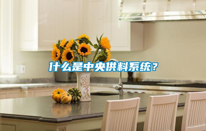 什么是中央供料系統？