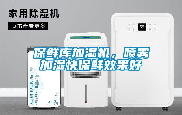 保鮮庫加濕機，噴霧加濕快保鮮效果好