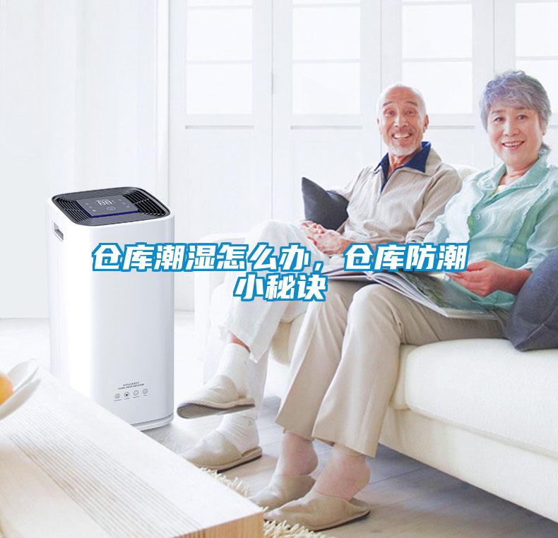 倉庫潮濕怎么辦，倉庫防潮小秘訣