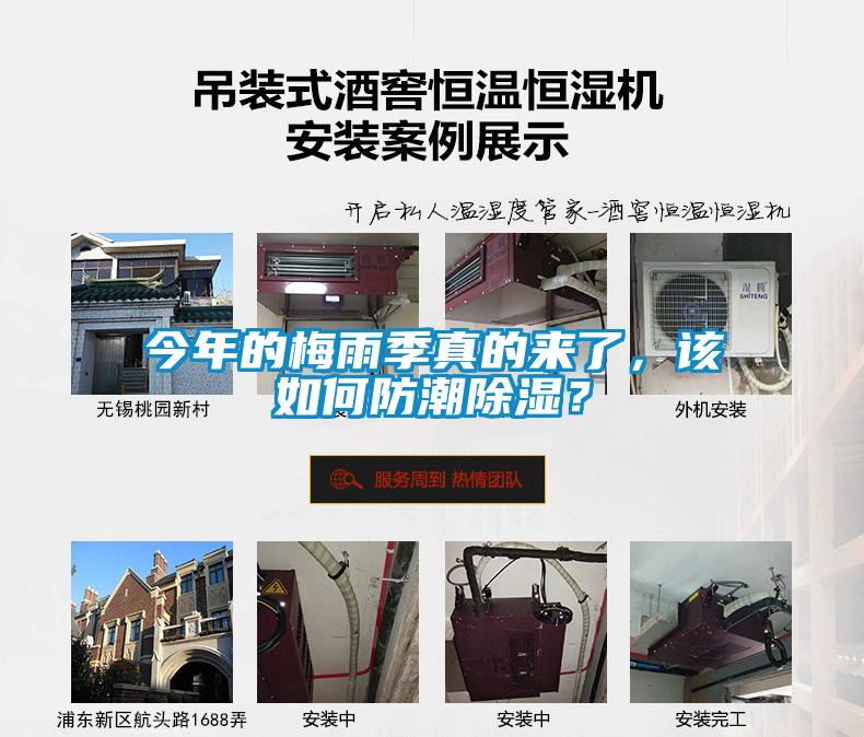 今年的梅雨季真的來了，該如何防潮除濕？