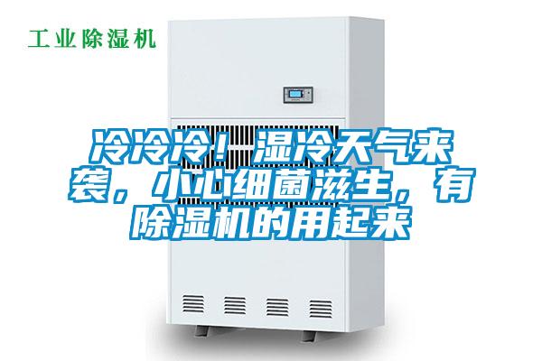 冷冷冷！濕冷天氣來襲，小心細菌滋生，有除濕機的用起來