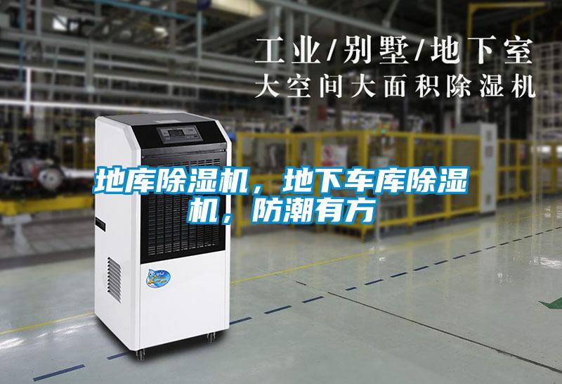 地庫除濕機，地下車庫除濕機，防潮有方