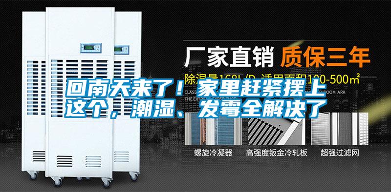 回南天來了！家里趕緊擺上這個，潮濕、發(fā)霉全解決了