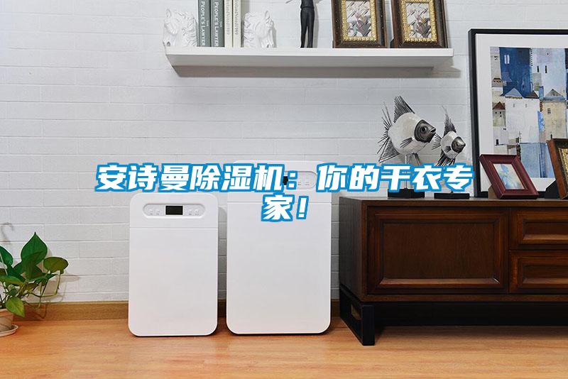 安詩曼除濕機：你的干衣專家！