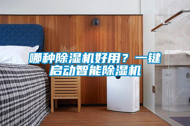 哪種除濕機好用？一鍵啟動智能除濕機
