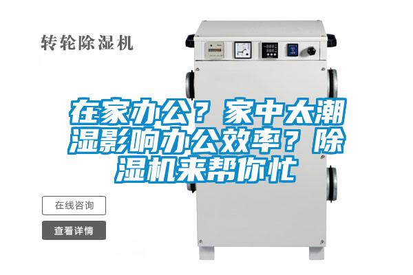 在家辦公？家中太潮濕影響辦公效率？除濕機來幫你忙