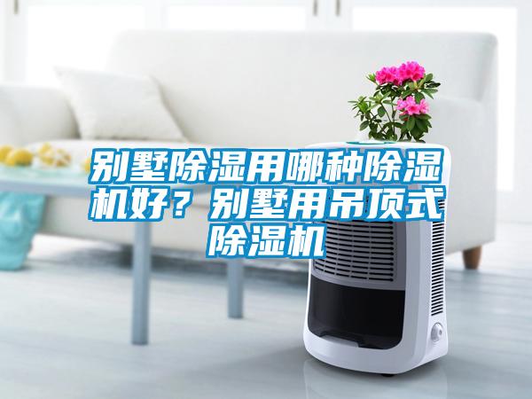 別墅除濕用哪種除濕機好？別墅用吊頂式除濕機