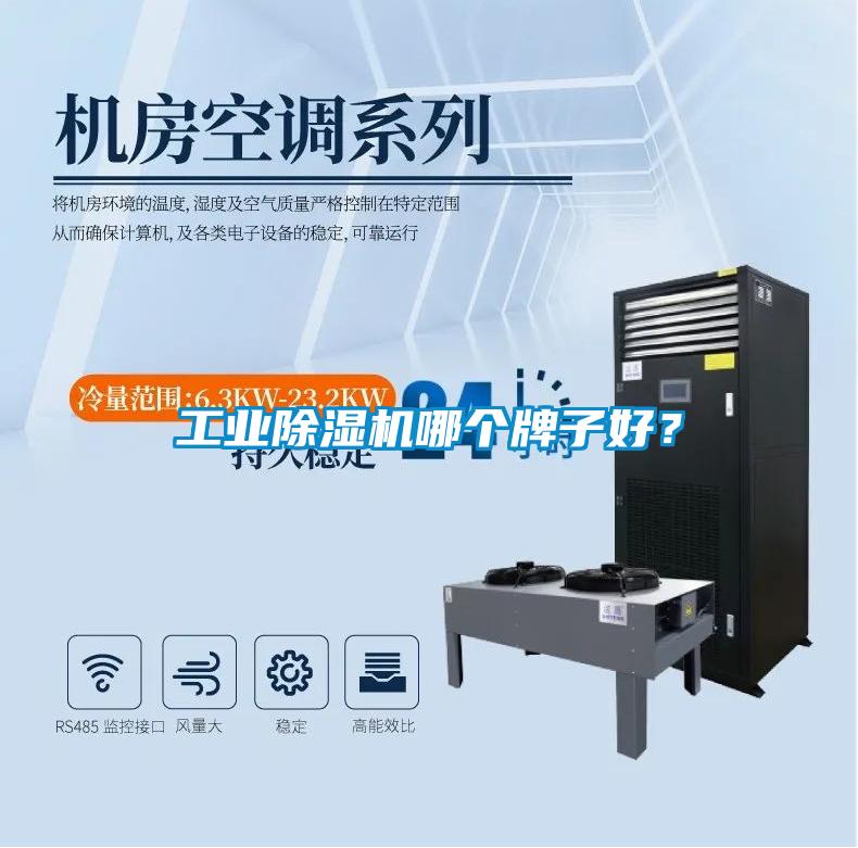 工業除濕機哪個牌子好？
