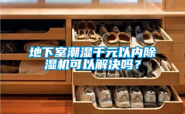 地下室潮濕千元以?xún)?nèi)除濕機(jī)可以解決嗎？
