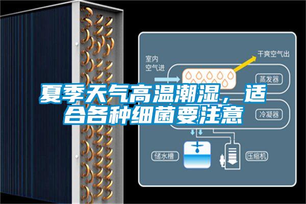 夏季天氣高溫潮濕，適合各種細菌要注意