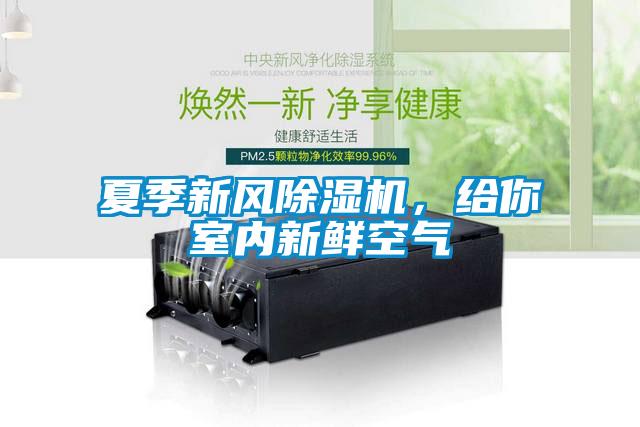 夏季新風除濕機，給你室內新鮮空氣