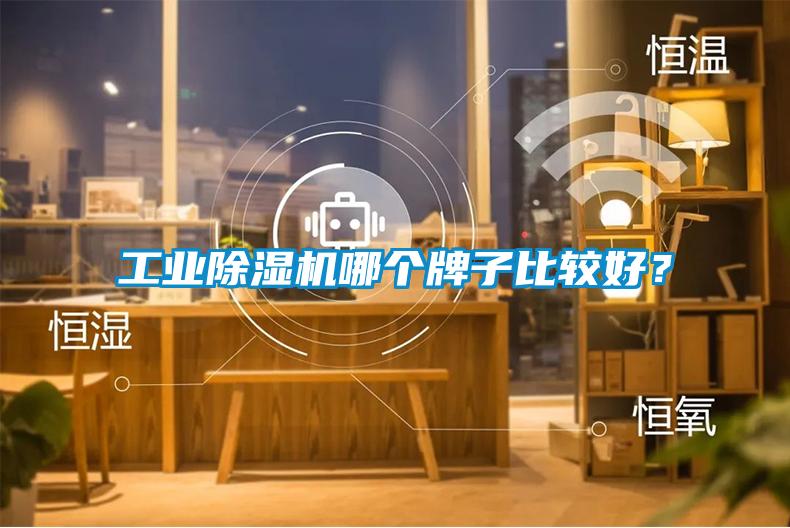 工業(yè)除濕機哪個牌子比較好？