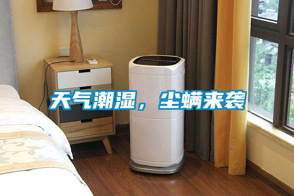 天氣潮濕，塵螨來襲