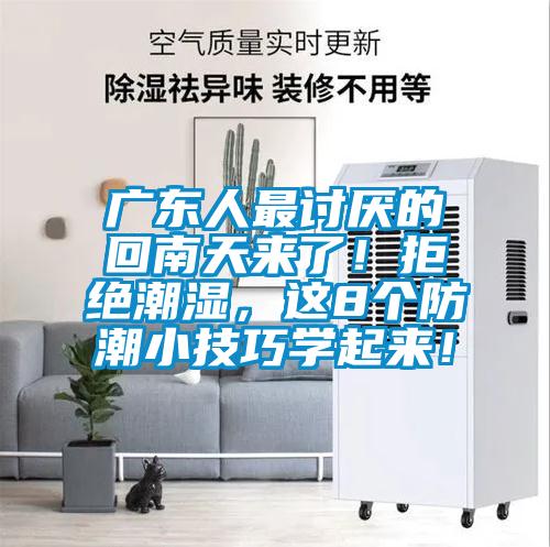 廣東人最討厭的回南天來了！拒絕潮濕，這8個防潮小技巧學(xué)起來！