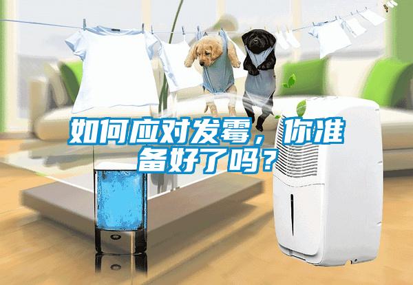 如何應對發霉，你準備好了嗎？