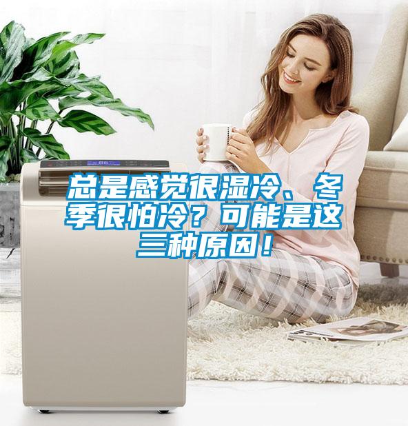總是感覺很濕冷、冬季很怕冷？可能是這三種原因！