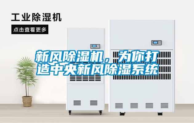 新風除濕機，為你打造中央新風除濕系統