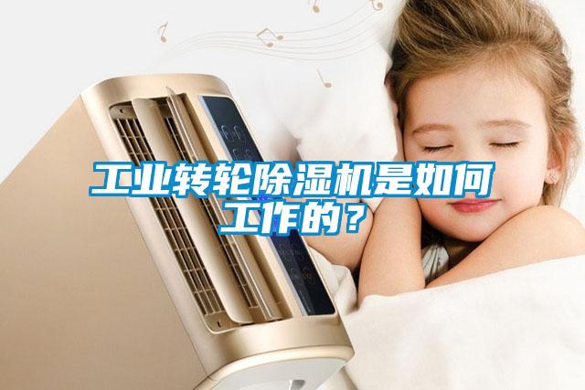 工業(yè)轉(zhuǎn)輪除濕機(jī)是如何工作的？