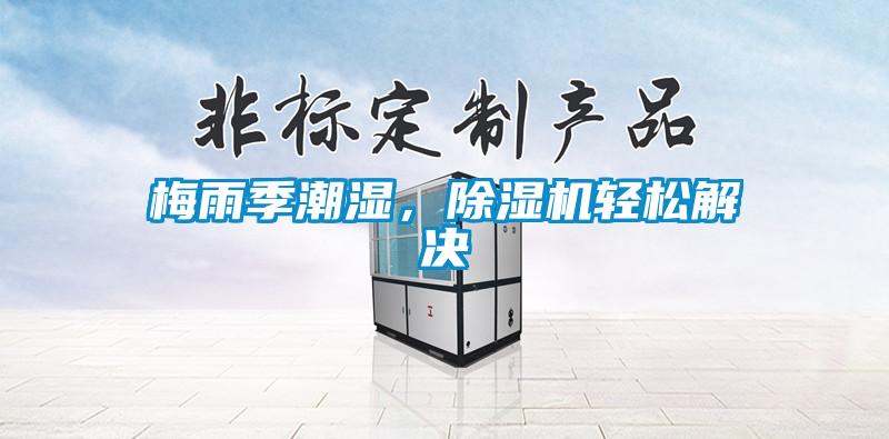 梅雨季潮濕，除濕機輕松解決