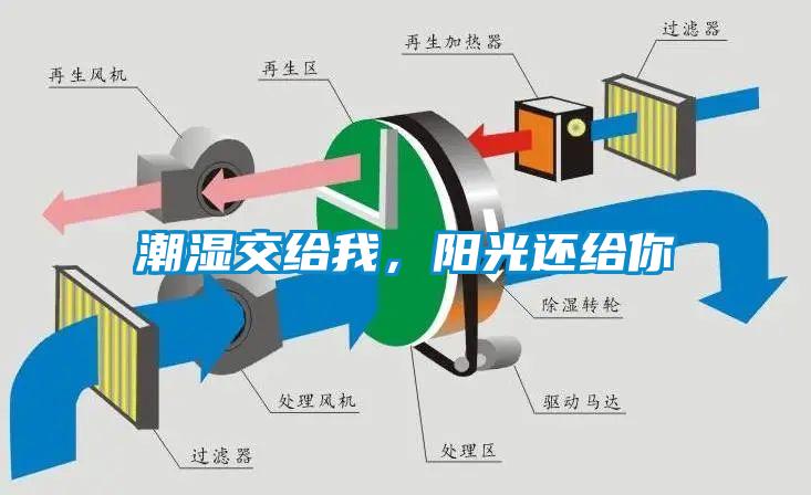 潮濕傷于無形，除濕機來防范
