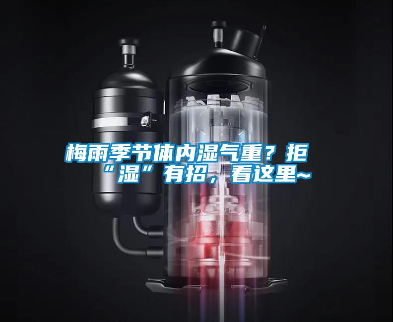 梅雨季節(jié)體內(nèi)濕氣重？拒“濕”有招，看這里~