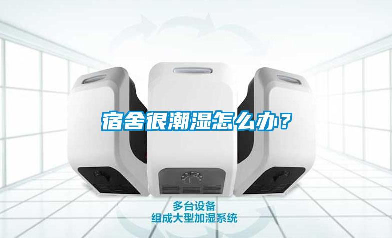 宿舍很潮濕怎么辦？