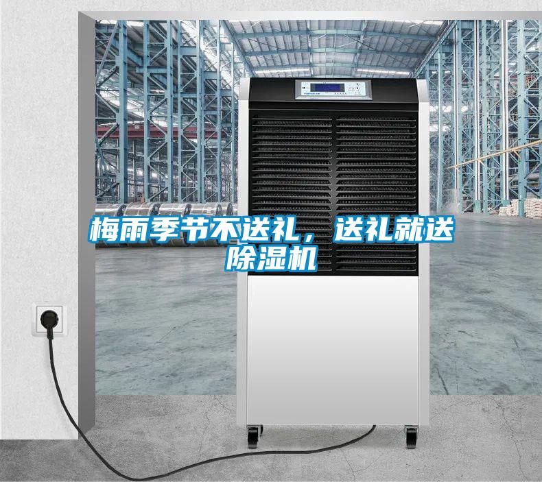 梅雨季節不送禮，送禮就送除濕機