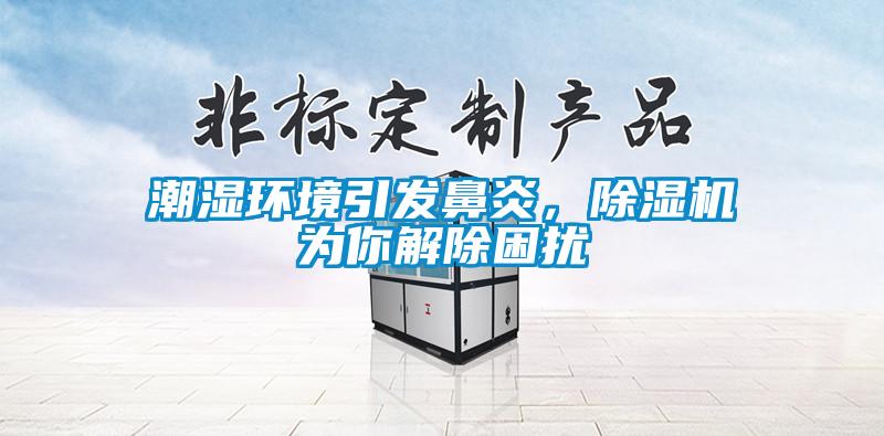 潮濕環境引發鼻炎，除濕機為你解除困擾
