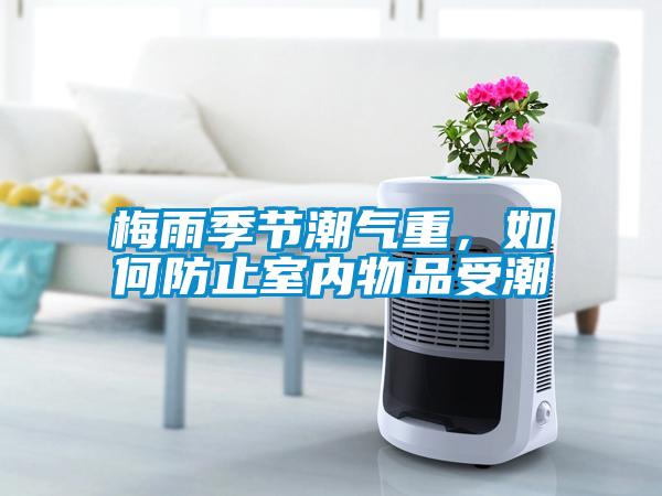 梅雨季節潮氣重，如何防止室內物品受潮