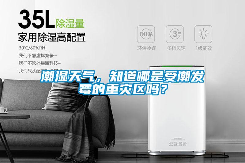 潮濕天氣，知道哪是受潮發霉的重災區嗎？