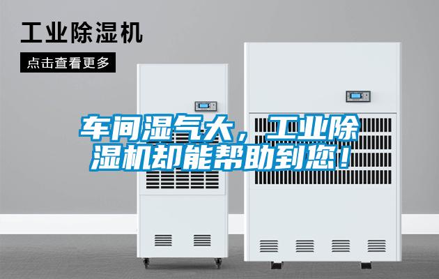 車間濕氣大，工業(yè)除濕機卻能幫助到您！