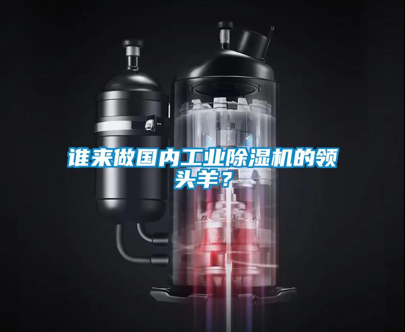 誰來做國內工業除濕機的領頭羊？