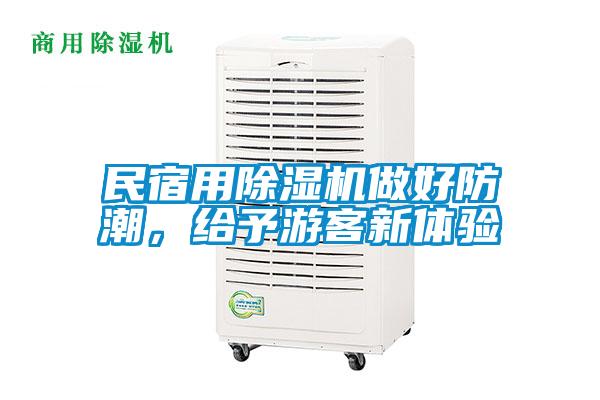 民宿用除濕機做好防潮，給予游客新體驗