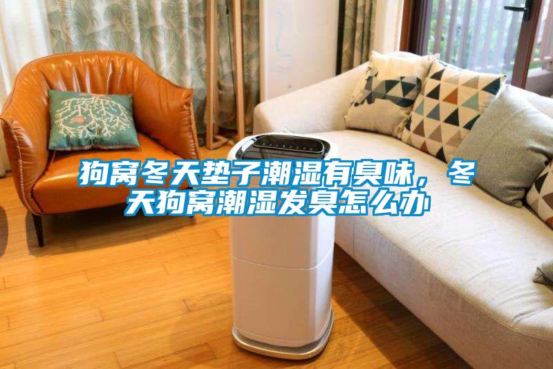 狗窩冬天墊子潮濕有臭味，冬天狗窩潮濕發(fā)臭怎么辦