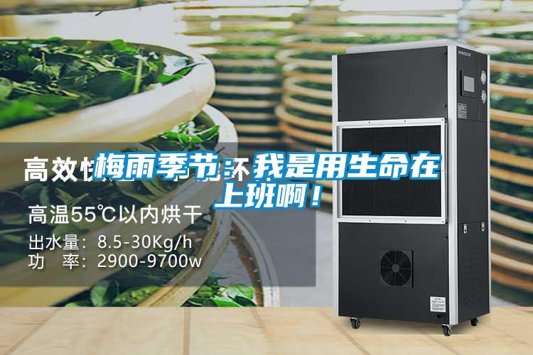 梅雨季節：我是用生命在上班啊！