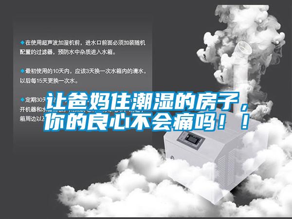 讓爸媽住潮濕的房子，你的良心不會痛嗎??！